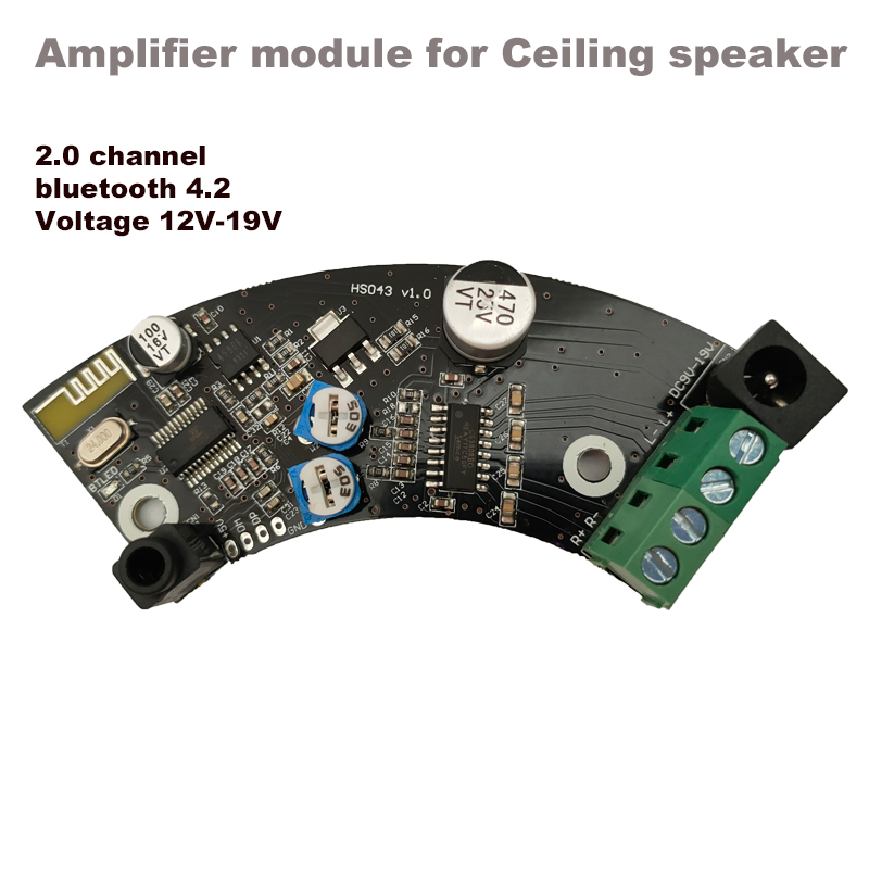 Audio Music For Background - Scheda amplificatore bluetooth Altoparlante da soffitto