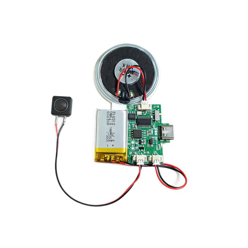 Audio Music Free Download - Modulo Audio Wireless Ricaricabile con Chip