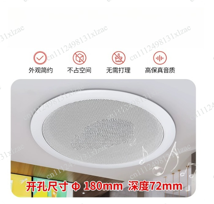 Audio Music Store - Altoparlante da soffitto TD202, sistema audio