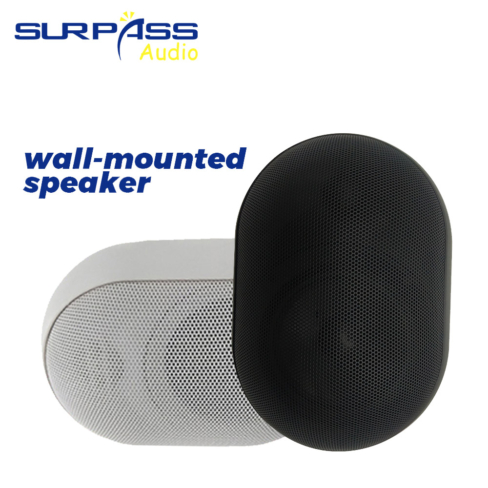 Audio Music For Background - Altoparlante da parete da 30 W