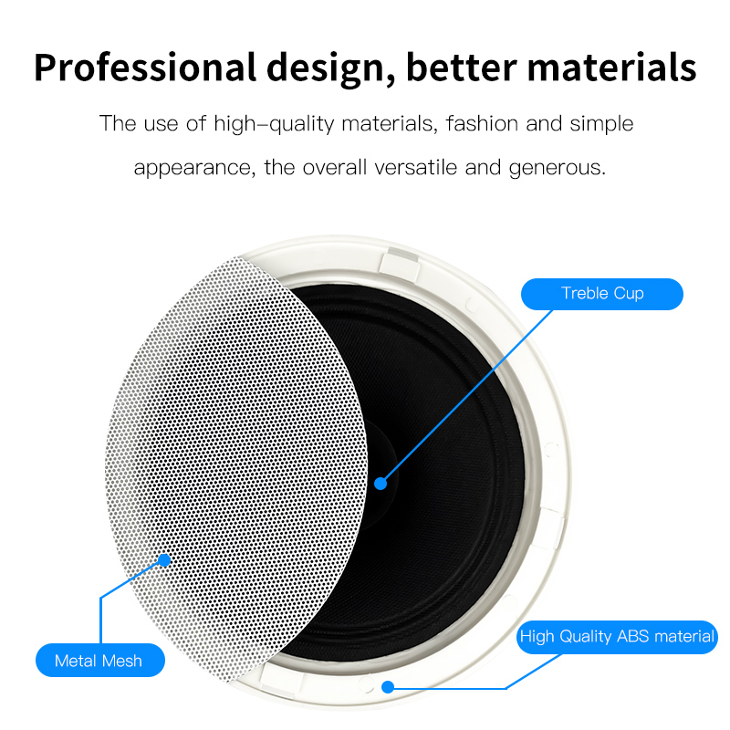 Altoparlante da Soffitto da 6  - Audio Music For Background recensione e prezzo