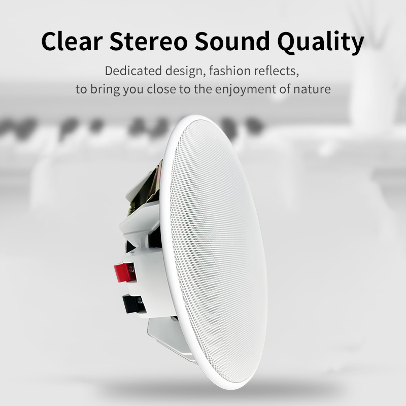 Altoparlante da Soffitto da 6  - Audio Music For Background recensione e prezzo