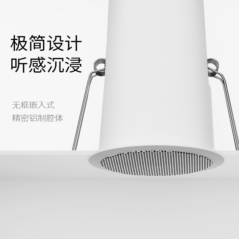 Audio da soffitto, altoparlant - Audio Music Store recensione e prezzo