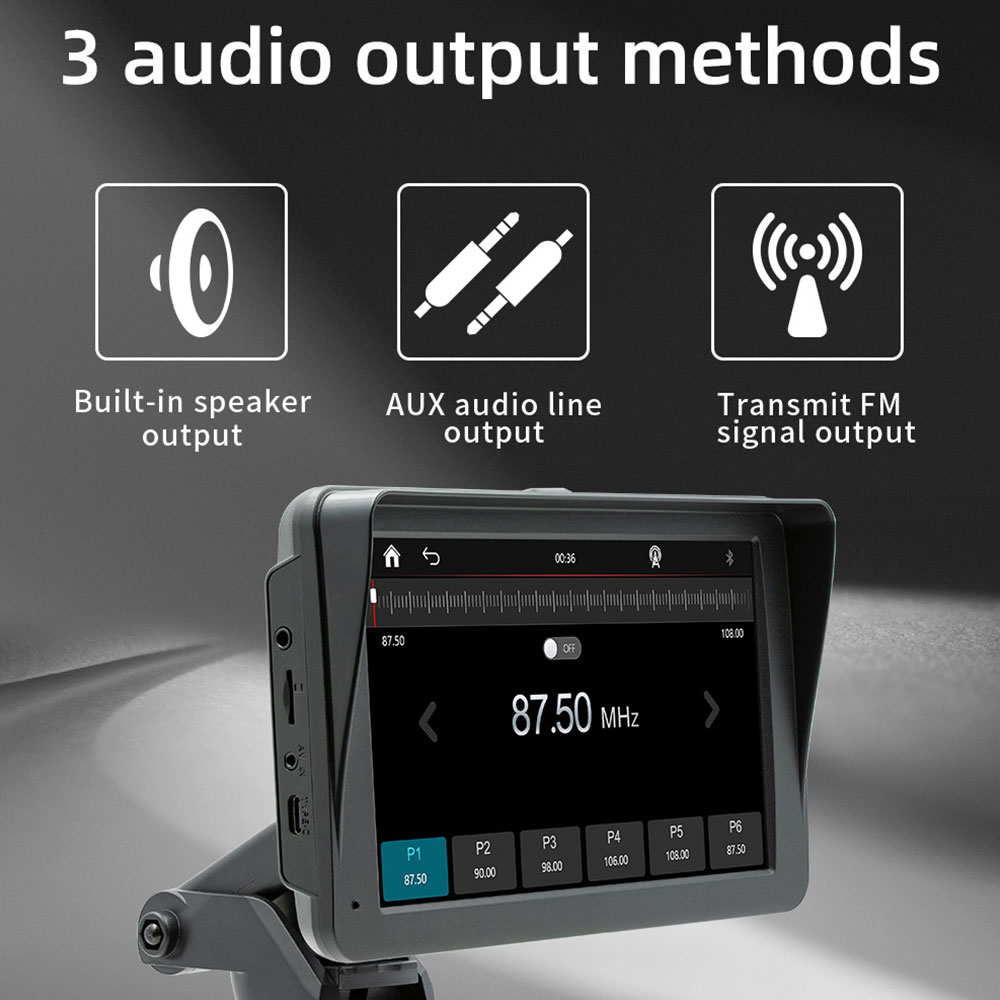 Lettore Multimediale per Auto  - Audio Music Png recensione e prezzo
