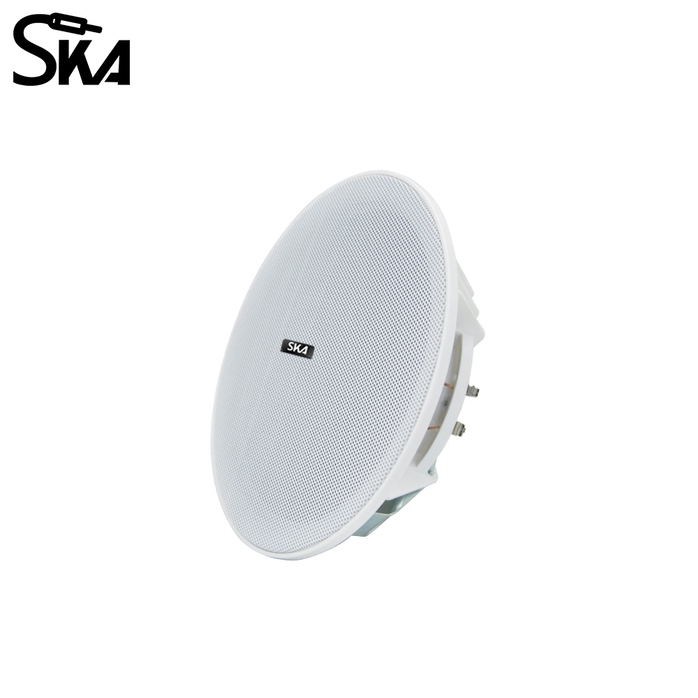 Altoparlante a doppio cono da  - Audio Music Store recensione e prezzo