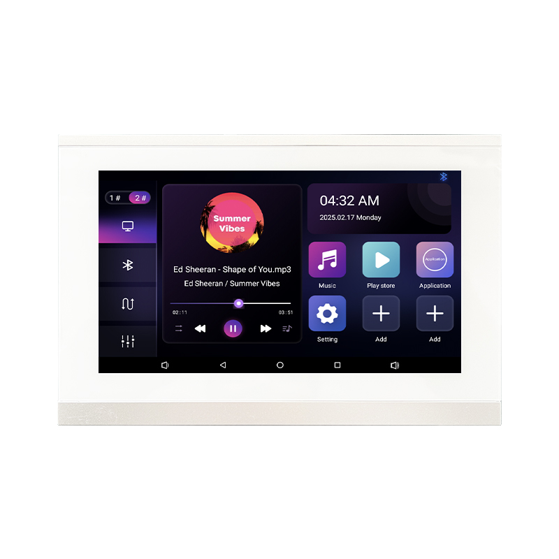 Amplificatore Audio da Parete  - Audio Music For Background recensione e prezzo