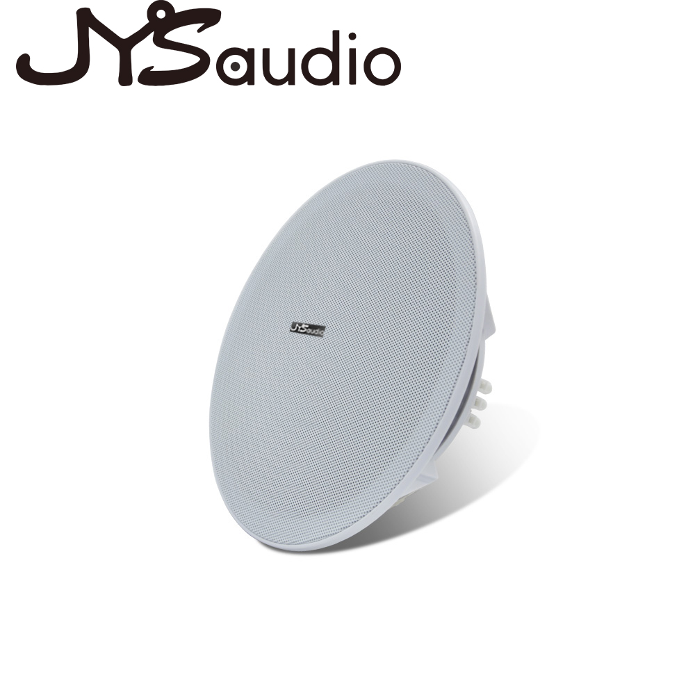 Altoparlante da soffitto da 20 - Audio Music For Background recensione e prezzo