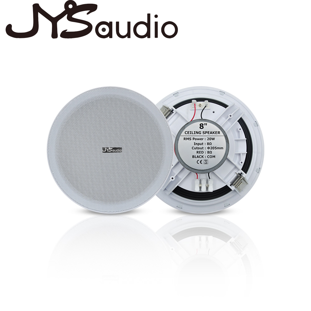 Altoparlante da soffitto da 20 - Audio Music For Background recensione e prezzo