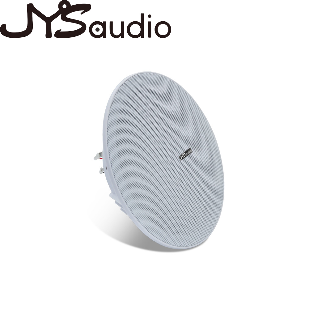 Altoparlante da soffitto da 20 - Audio Music For Background recensione e prezzo