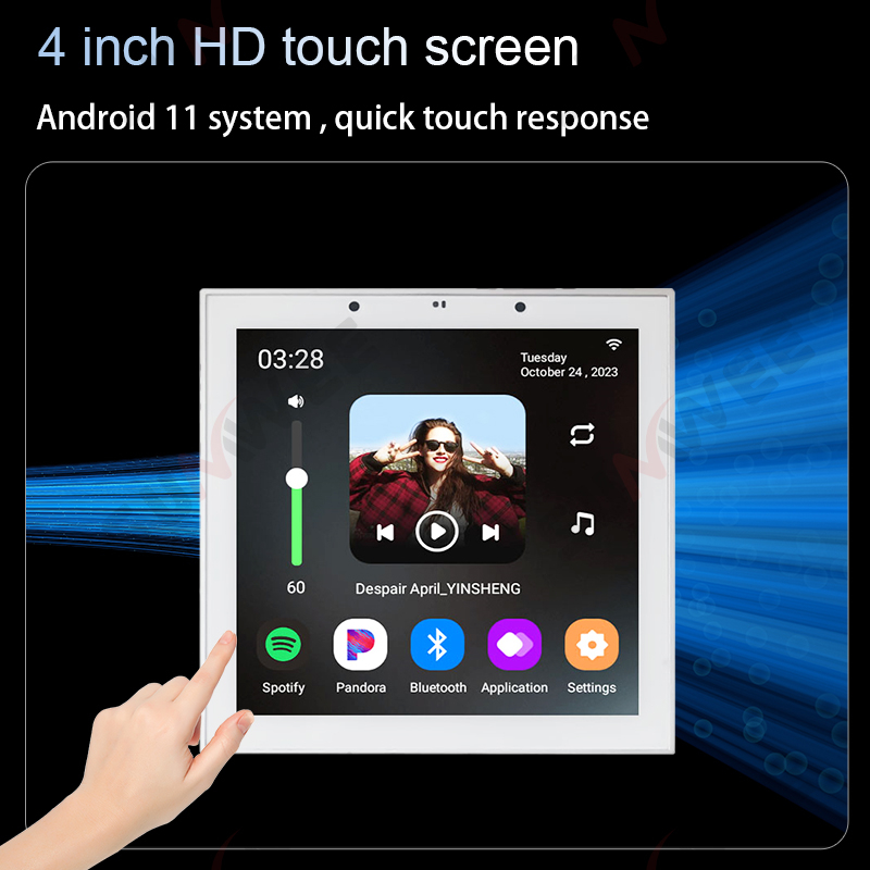 Amplificatore Audio da Parete  - Audio Music For Background recensione e prezzo