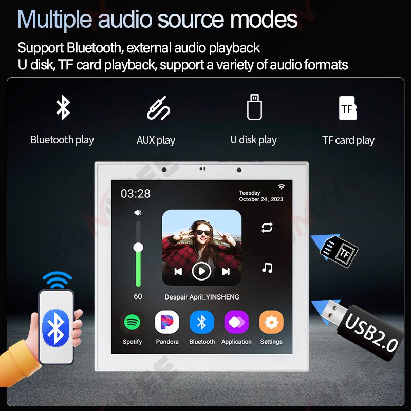 Amplificatore Audio da Parete  - Audio Music For Background recensione e prezzo