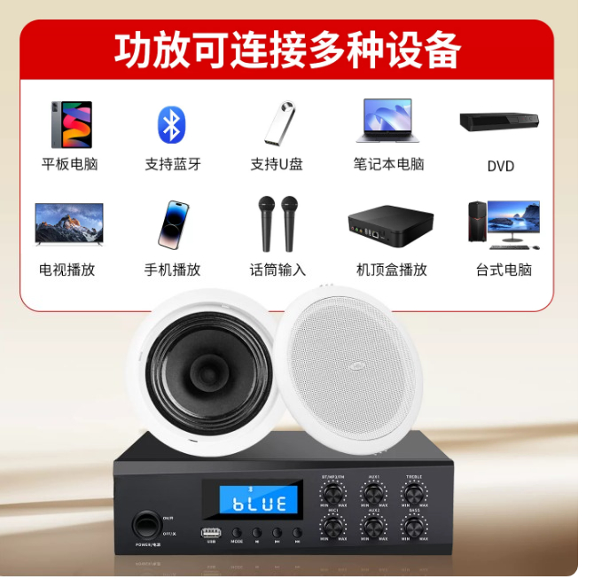 Altoparlante da soffitto TD202 - Audio Music Store recensione e prezzo