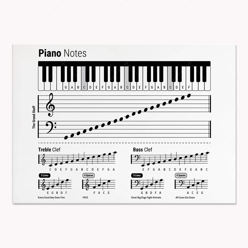 Teoria della chitarra, pianofo - Audio Into Music Sheet recensione e prezzo