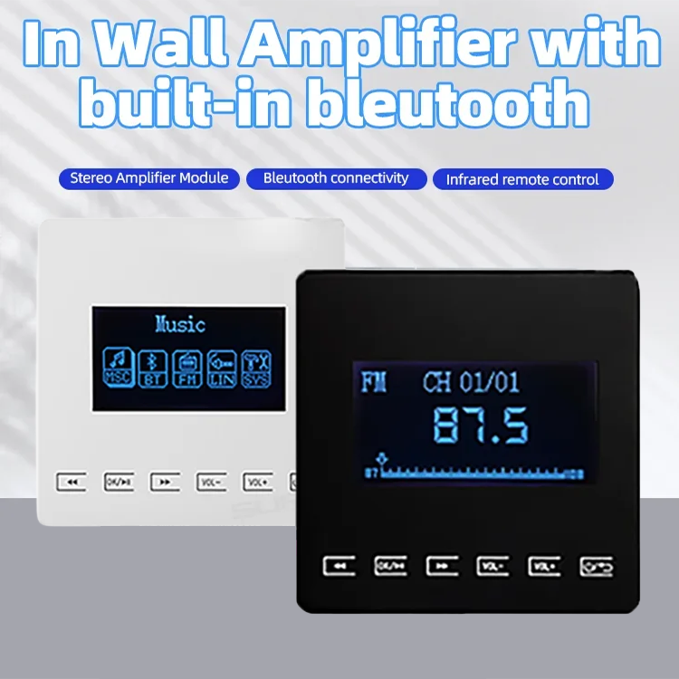Mini amplificatore Bluetooth L - Audio Music Store recensione e prezzo