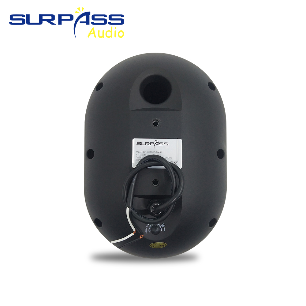 Altoparlante da parete da 30 W - Audio Music For Background recensione e prezzo