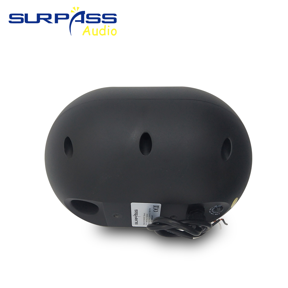 Altoparlante da parete da 30 W - Audio Music For Background recensione e prezzo