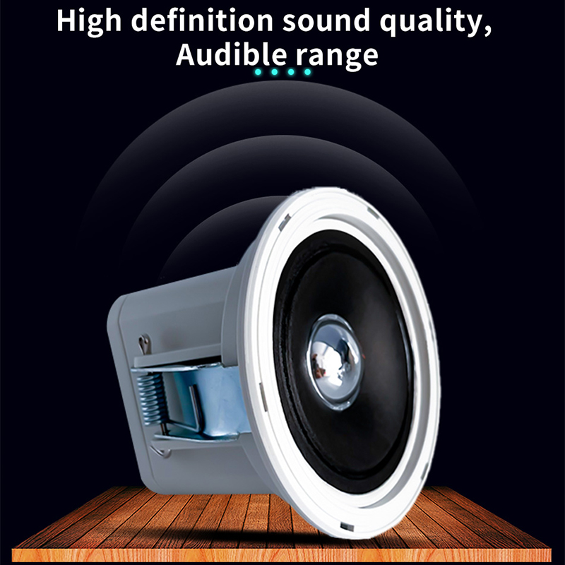 Altoparlante da Soffitto Mini  - Audio Music For Background recensione e prezzo
