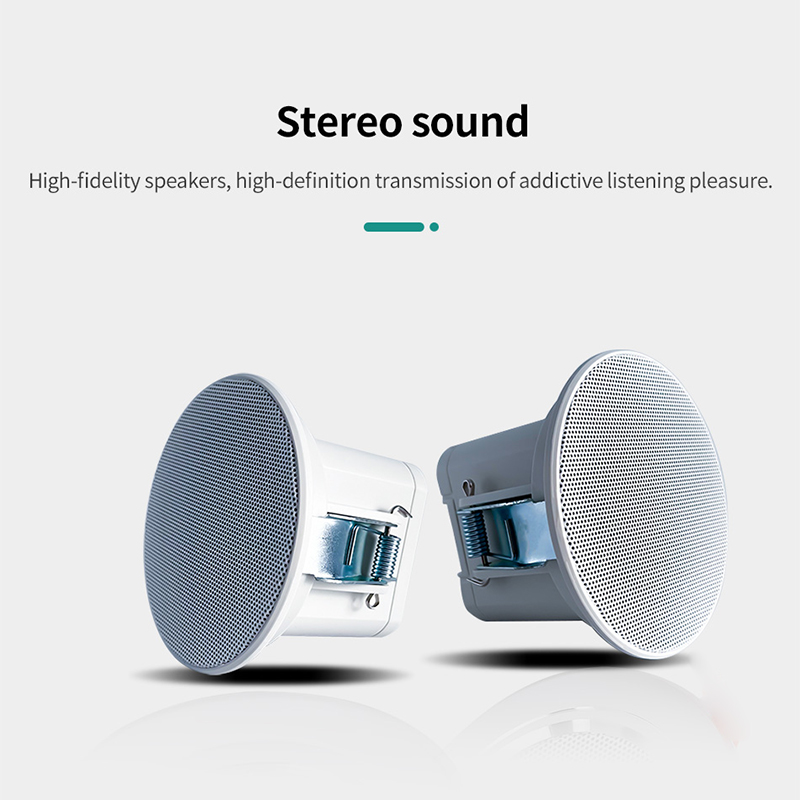 Altoparlante da Soffitto Mini  - Audio Music For Background recensione e prezzo