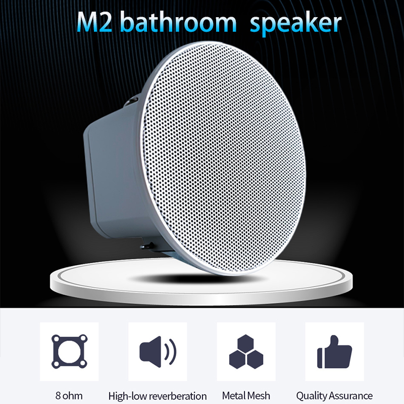 Altoparlante da Soffitto Mini  - Audio Music For Background recensione e prezzo