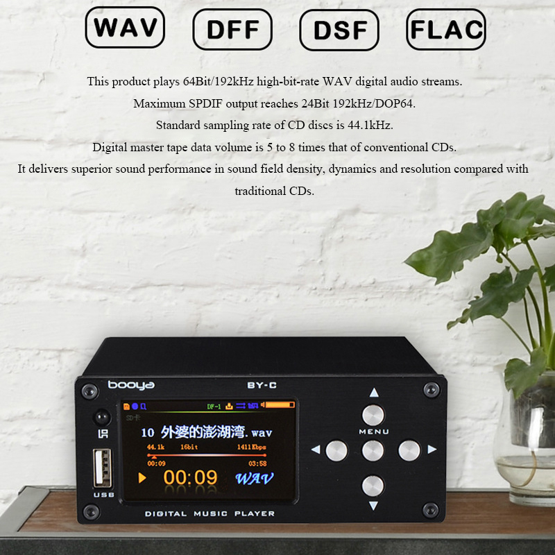 Lettore Audio Digitale Lossles - Audio Music To Mp3 recensione e prezzo